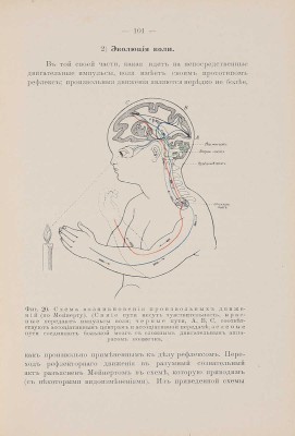 [Сикорский И.А., автограф] Сикорский И.А. Начатки психологии: С 20 фигурами в тексте. 2-е изд., доп. Киев, 1909.